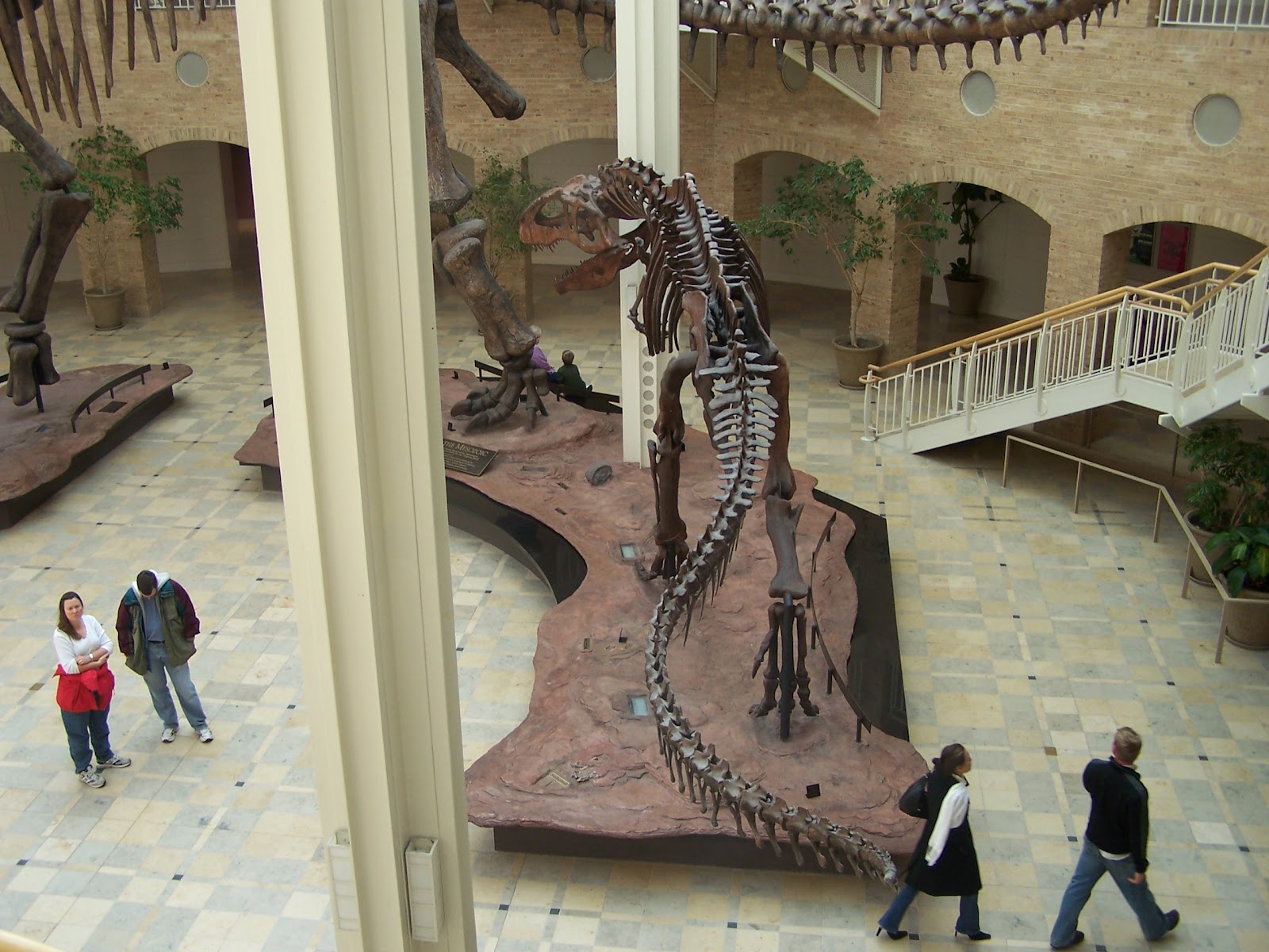 world's biggest carnivorous dinosaur