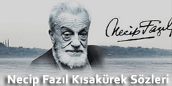 http://guzelsozler100.blogspot.com/2015/01/necip-fazil-kisakurek-sozleri-full-kisa.html