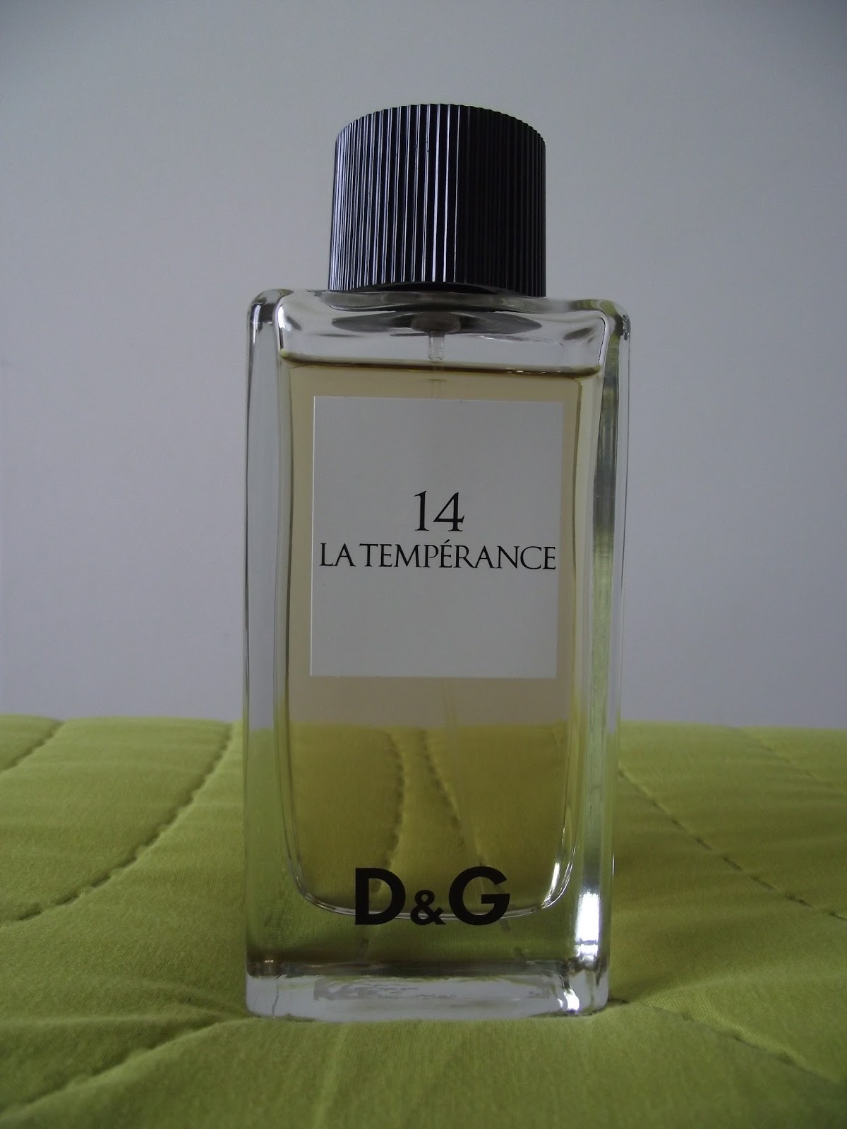 dolce gabbana la temperance 14