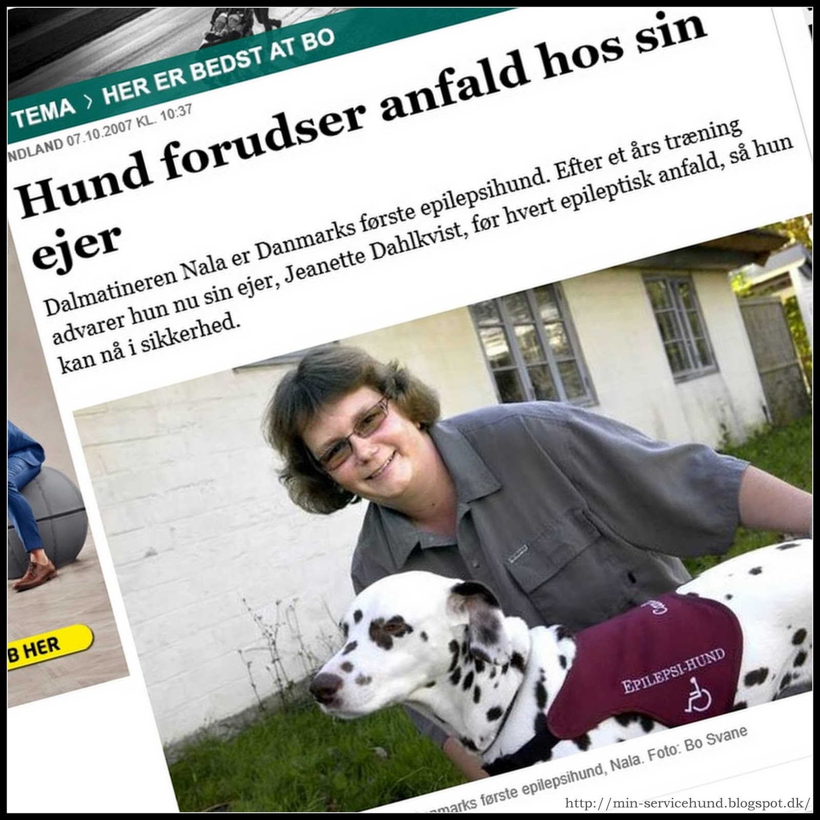 Min Servicehund Artikel om epilepsihund