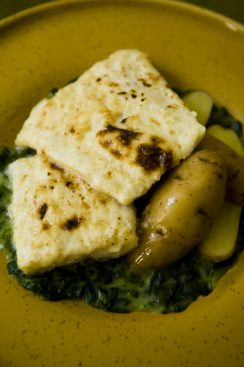 Polish Classic Cooking White Fish in Horseradish Sauce, Polish Style