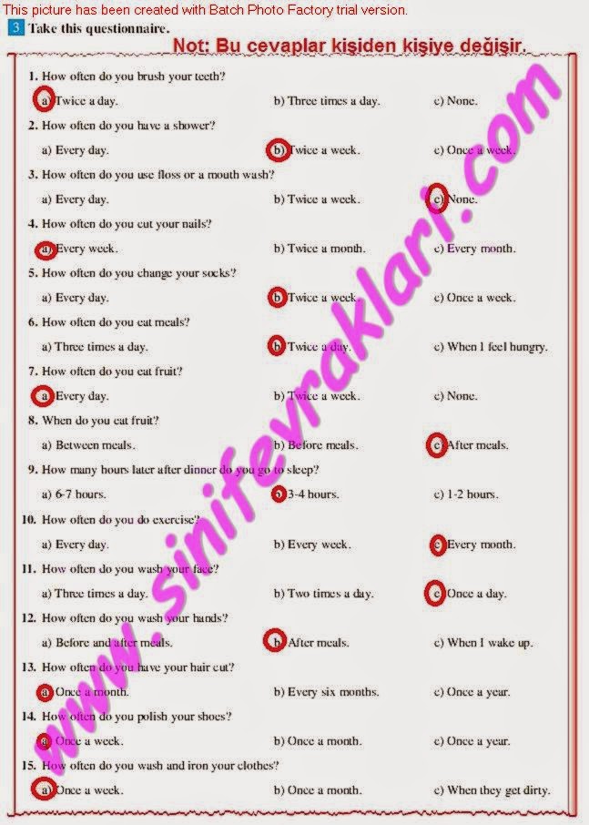 8.SINIF İNGİLİZCE DİKEY YAYINLARI DERS KİTABI CEVAPLARI SAYFA 33 - Ders