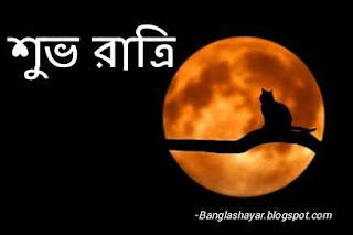 Good Night Bangla Image Free Download