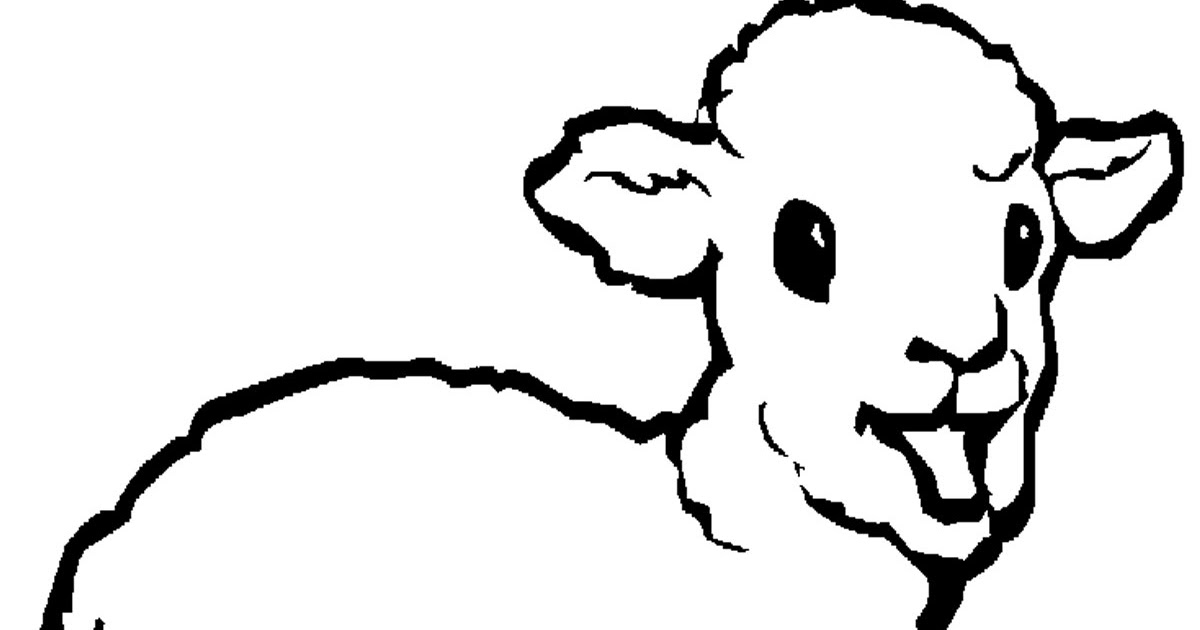 Kumpulan Gambar Sketsa Kambing Ikan Sketsabaru
