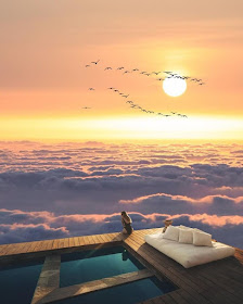04-A-bed-above-the-clouds-Suri-Animals-www-designstack-co