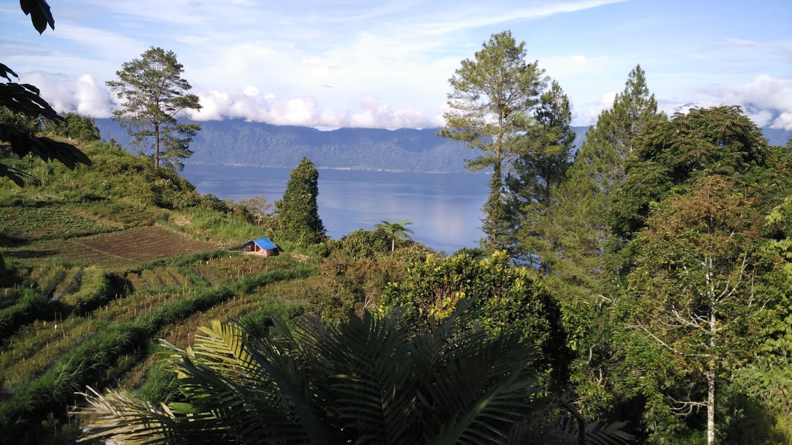 Pesona Keindahan Alam Danau Maninjau Sumatera Barat ...