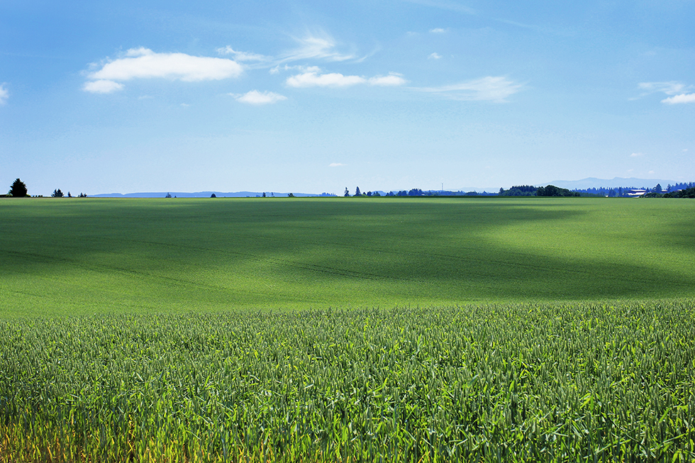 Photographing Oregon Farms