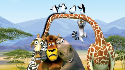 Alex, Marty Melman and Gloria posing with birds in Madagascar 2: Escape 2 Africa http://animatedfilmreviews.filminspector.com/2012/12/madagascar-escape-2-africa-2008-full-of.html