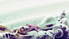 2013-07-Photography-Wallpaper-Picture-PC