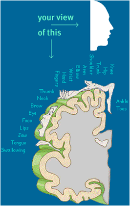 WEB BLOG. PSIKOLOGI.COM Universitas Prima Indonesia (UNPRI): Tugas
