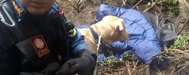 Άρτα: Ο Σκύλος Της 6ης ΕΜΑΚ . ..Ένας Μικρός Σωτήρας 70χρονου Που Αγνοούνταν ..