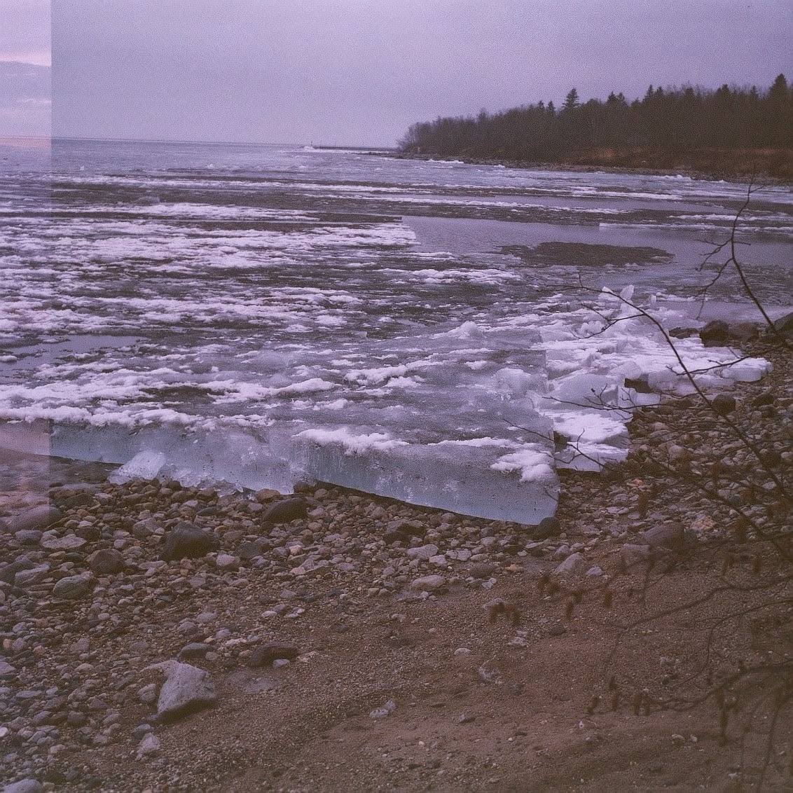 Haus of Margot Pollo Sisters of Beaconia Beach