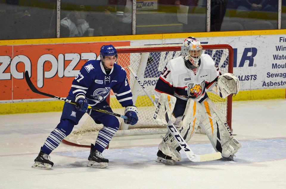 Jet Greaves in Full Flight for Barrie Colts. OHL