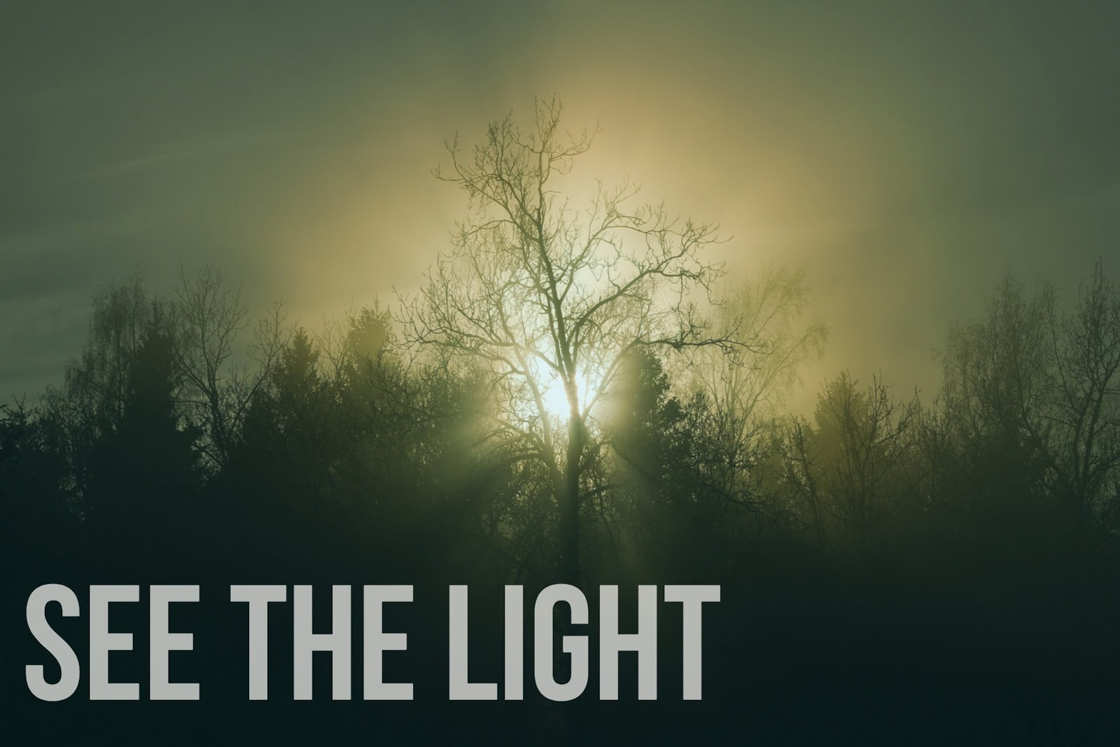See The Light