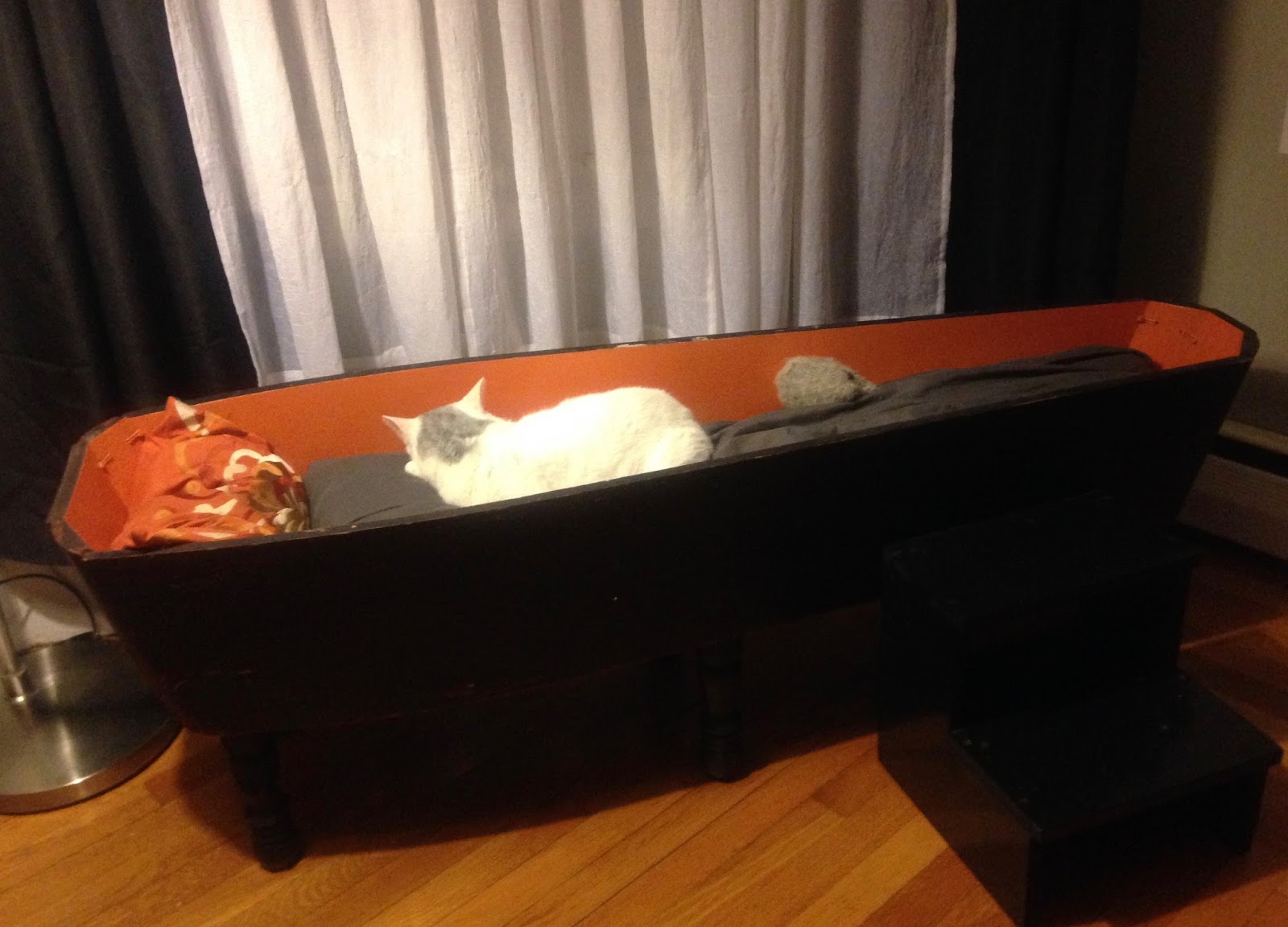 Shivers of Delight The Coffin Cat Bed