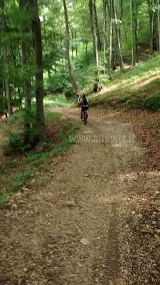 percorsi mountain bike: vigolana