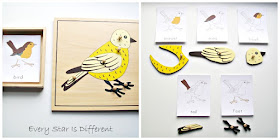 Parts of a Bird Activity with Printable