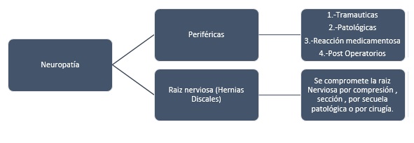 Tipos de Neuropatías tipos de neuropatias
