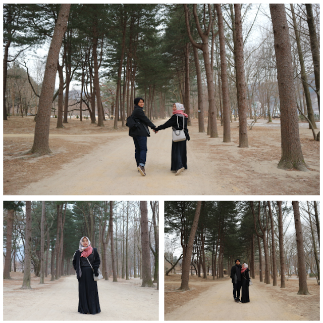 nami island