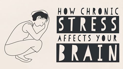 How chronic stress affects your brain