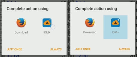 chose-downloader-idm-plu