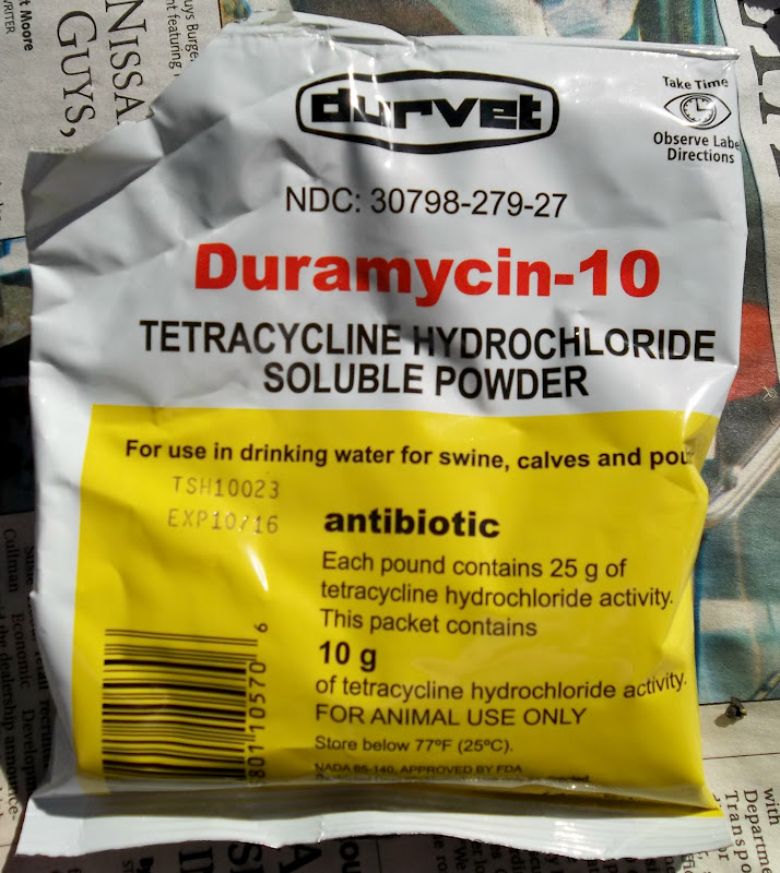 tetracycline for chickens tractor supply