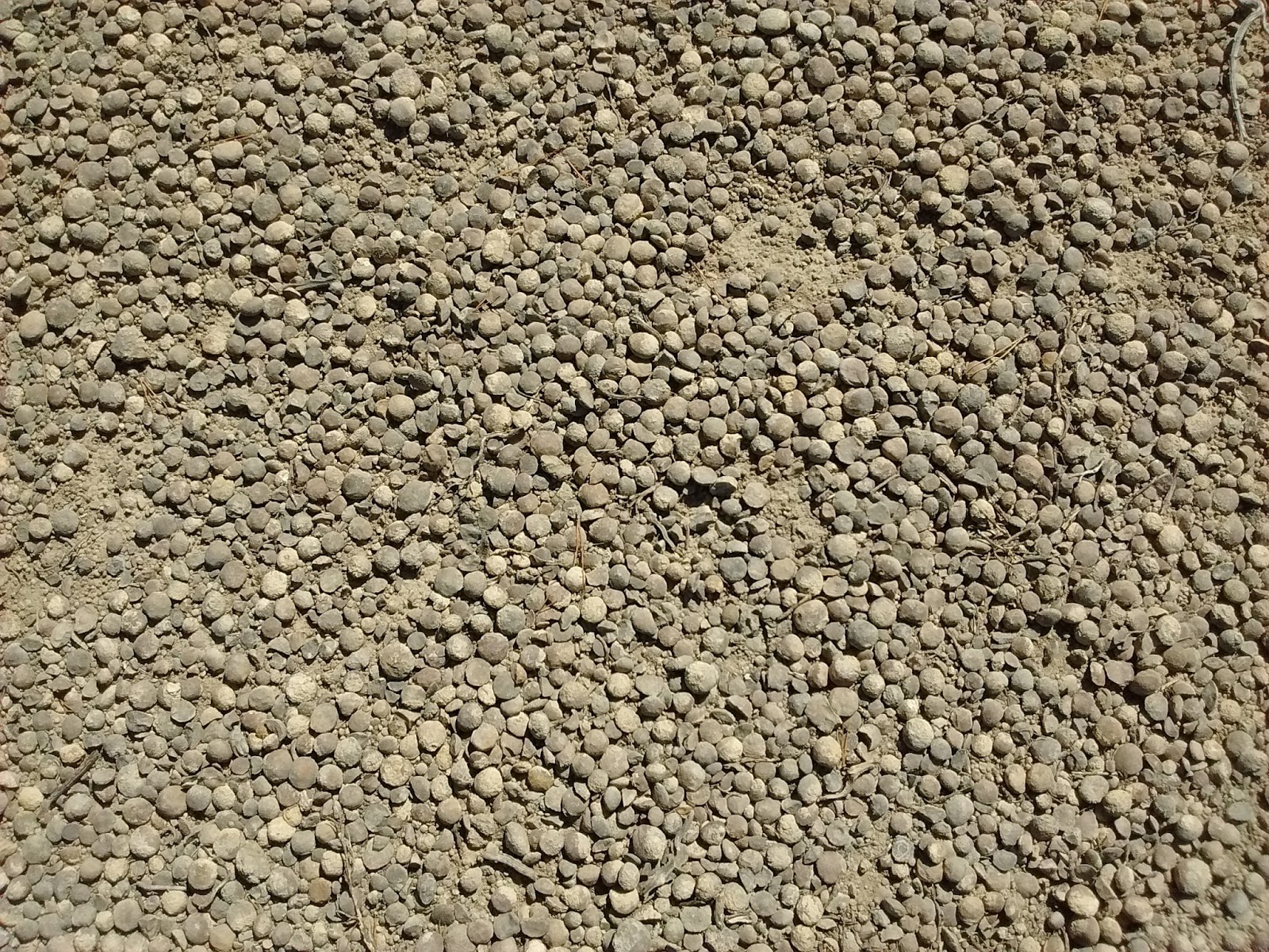 Керамзитный песок. Керамзит. Керамзитная крошка. Керамзитовый песок. Керамзитовая крошка песок.