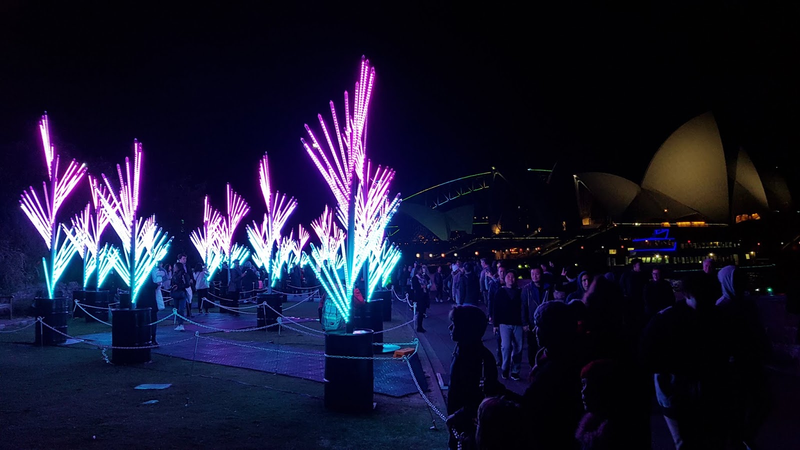 Sydney City and Suburbs Botanic Gardens, Vivid Sydney, The Nautilus