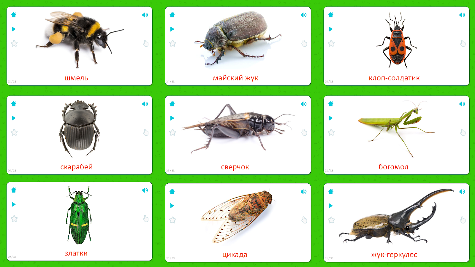 Какие среды освоили жуки. Насекомые карточки Домана для детей. Насекомые для ДОШКОЛЬНИКЛ. Карточки для детей. Насекомые. Карточки насекомых для дошкольников.