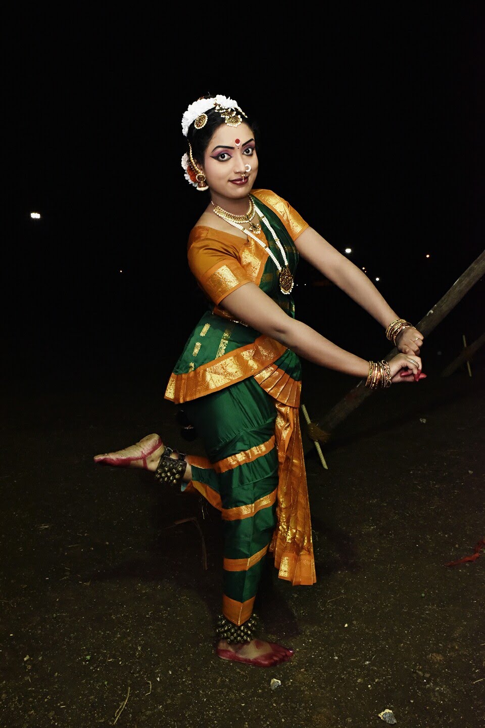 Bharatanatyam Kuchipudi Dance Vector Images (29)