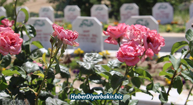 Êşa ku ev 25 sal e nayê jibîrkirin: Qetlîma Sûsa Êşa ku ev 25 sal e nayê jibîrkirin: Qetlîma Sûsa