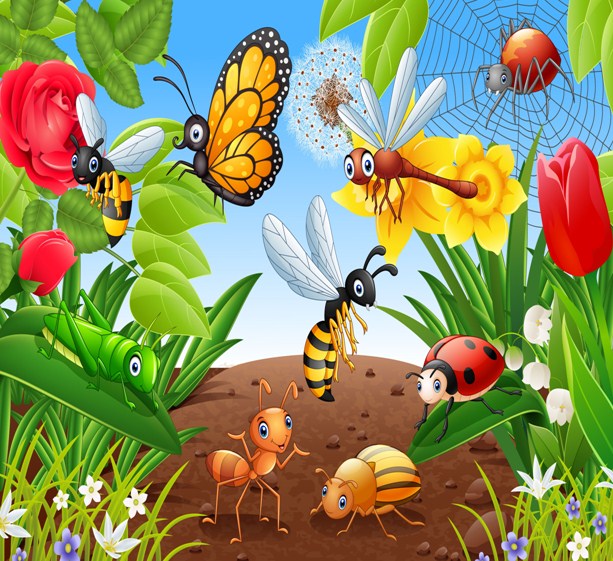 Жизнь насекомых тел. Насекомые картинки для детей. Насекомые. Жизнь насекомых. Картинка удивительный мир насекомых для детей. Картина насекомые летом детская.