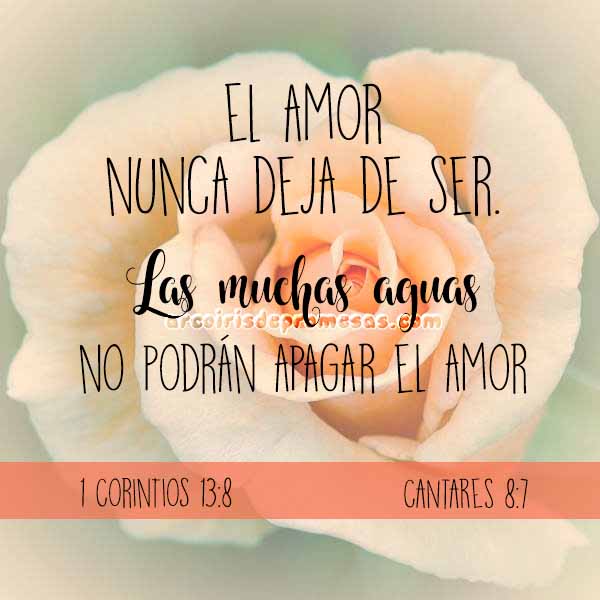 cómo-es-el-amor-según-la-biblia cómo es el amor según la biblia imágenes con textos bíblicos