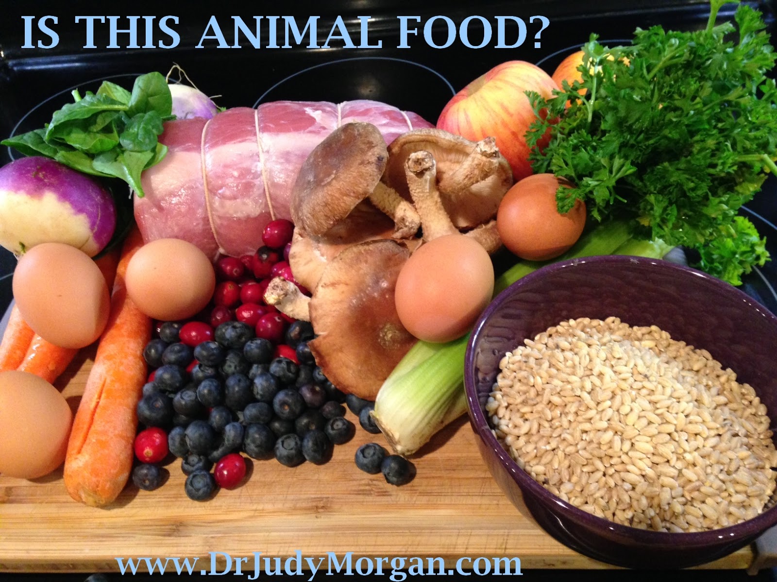 Dr. Judy Pet Care ANIMAL FOOD THE STILL UNDEFINED