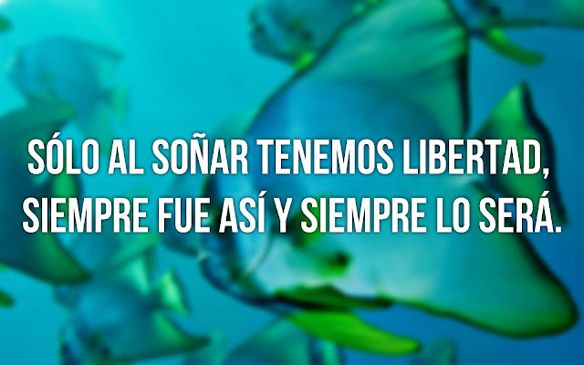 frases de la vida frases de la vida