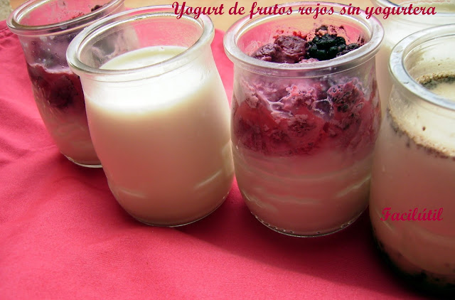 YOGURTERA - Las mejores yogurteras del 2016