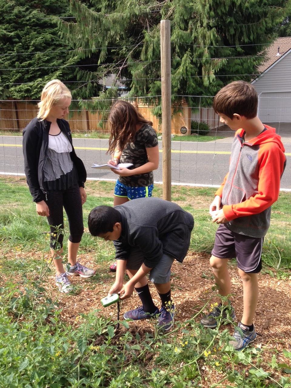 Mr Kehoe's Blog Garden Soil Testing Photos