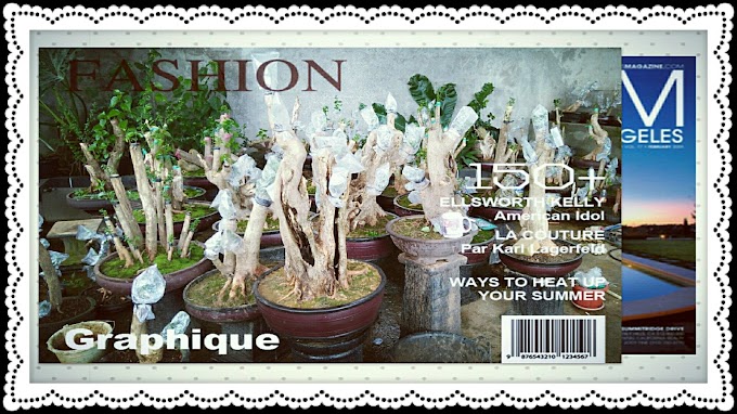 NAMA LATIN TANAMAN BAHAN BONSAI