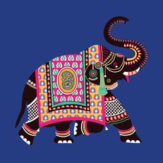 elephant images