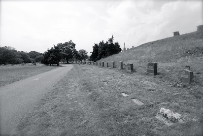 PARADISE DIARIES: The Lady of the Dunes