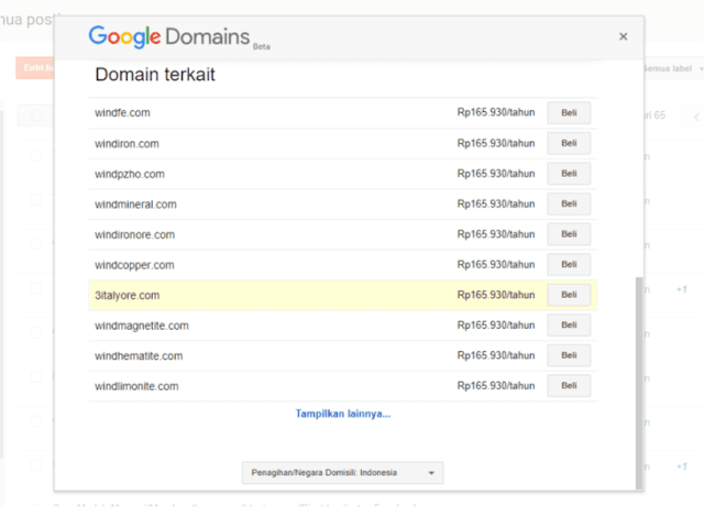 Cara Cek Status Domain dengan Google Domains