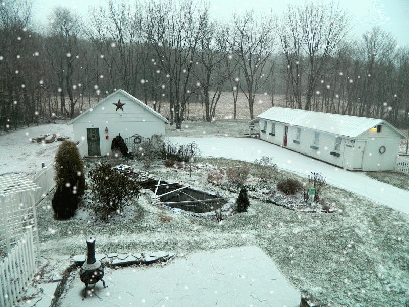 Pam's English Cottage Garden Celebrating the Arrival of Winter With a