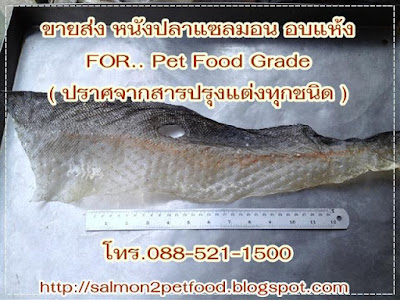 ขายส่ง วัตถุดิบ ผลิต อาหารสุนัขเกรดพรีเมี่ยม ( หนังปลาแซลมอน  Salmon Skin Chews)100% Natural Wild Gourmet Salmon Treat
