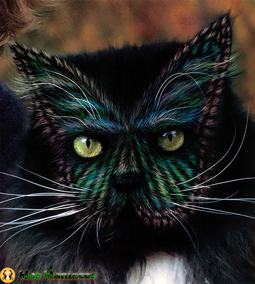 Why Paint Cats: The Ethics of Feline Aesthetics