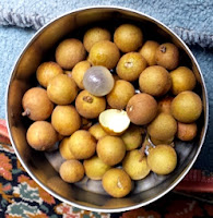 The Longan Fruit, note the smooth texture and colour The Longan Fruit, note the smooth texture and colour
