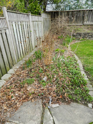 Spring garden cleanup Graydon before by Paul Jung Gardening Services Toronto