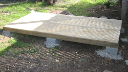 chicken coop building cinder block foundation dallas backyard parents texas
