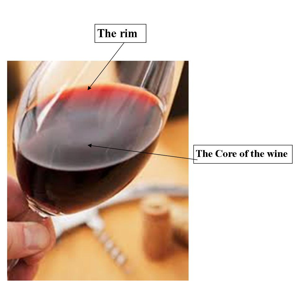 Try that wine Glossary of Wine Terminology