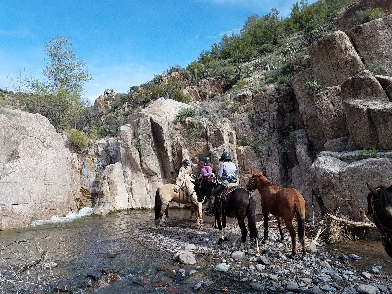 Cave Creek Hotel Arizona CIVANA Wellness Resort Spa Hampton Inn