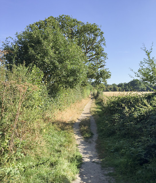 Soldiering Field. Walk around the Hawkwood Estate 21, 30 August 2016. Soldiering Field. Walk around the Hawkwood Estate 21, 30 August 2016.